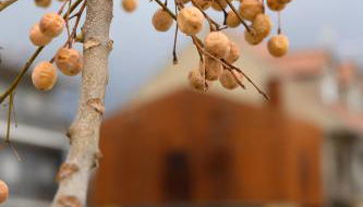 Casa do Ferreiro - Foto 3