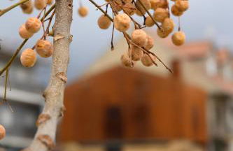 Casa do Ferreiro - Foto 3