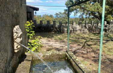 Casa da Vinha - Foto 47