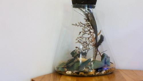 Le Clos des Lilas - Foto 5