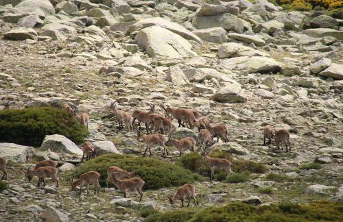 Apartamento Atalantar - Photo 63