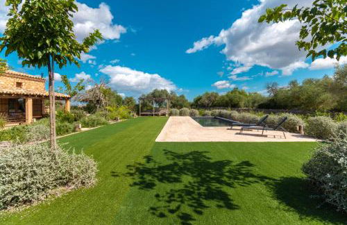 Can Cortana - Foto 3