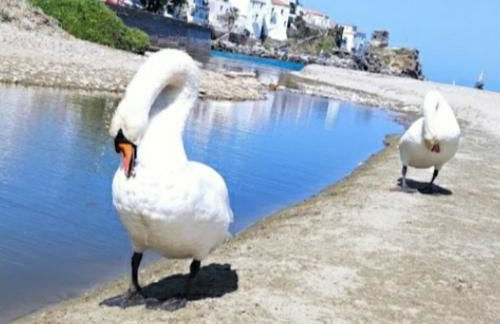 Beach House Paraporti - Foto 48