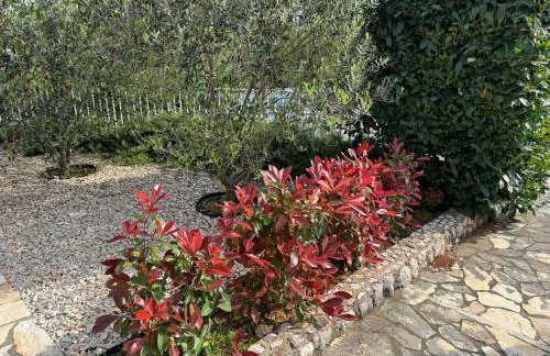 Apartmani Marija Klimno B - Foto 37