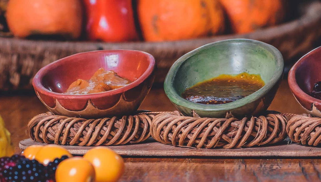 Visite du domaine Tierra Activa