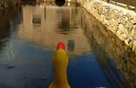 Carregã Water mill - Foto 41