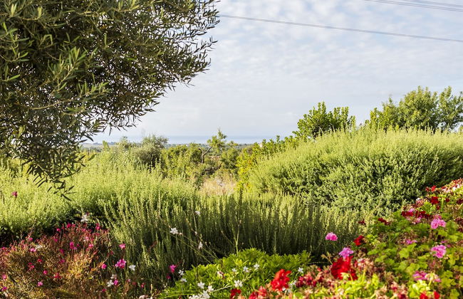 Quinta da Baleeira - Foto 77