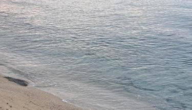 Elegance apartment - Foto 5