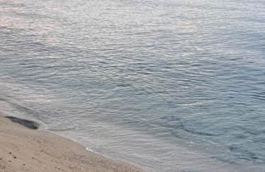 Elegance apartment - Foto 5