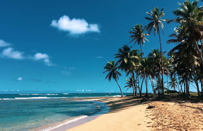 Srvittinivillas Aptla/p11 Great Apartment /work Travel / Couple /altos de Chavon - Foto 15