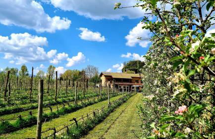 Agriturismo Podere Borgo Malnido - Foto 17