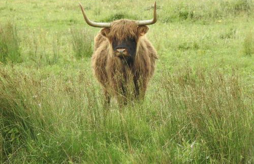 L'Olivier en Baie, T3 de standing avec jardin, vue baie, parking privé - Foto 52