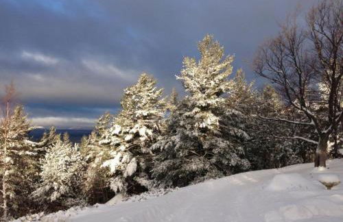 Amazing Mountain View Cottage Rental in Au Sable Forks, New York - Foto 25