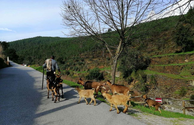 Serra da Estrela Day Trip - Photo 6