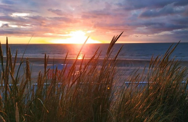 Apartment in St. Idesbald Near the Sea - Foto 30