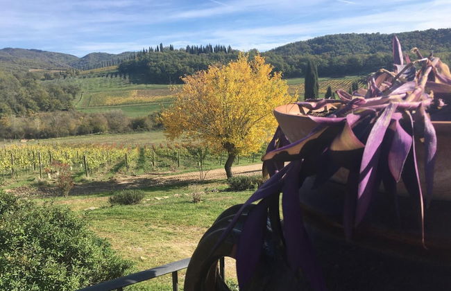 Podere Terreno alla Via della Volpaia - Foto 51