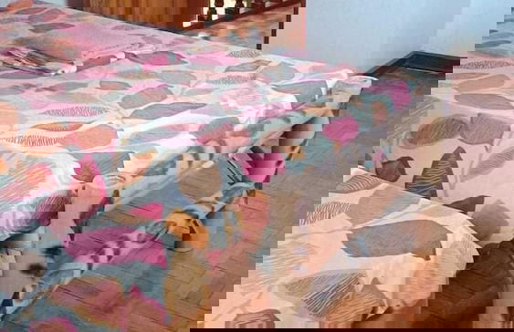 Hotel Titanic by Hiverooms - Foto 8