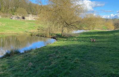 Dove Cottage - Foto 44
