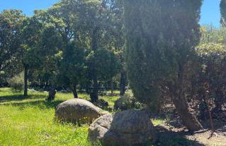 L'écrin des bois - Foto 17