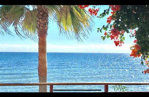 MI CAPRICHO BEACHFRONT- P300 - Apartment with sea view - Photo 20