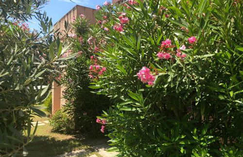 Bilocali Residenza Mediterranea Cannigione - Foto 47