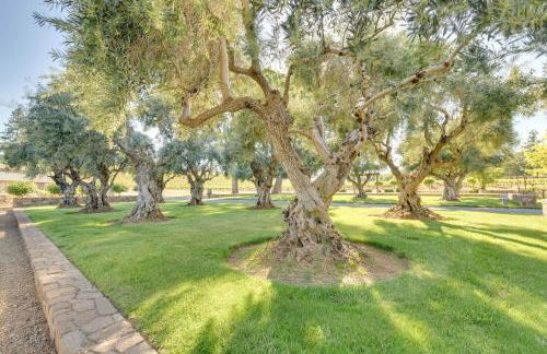 Kelseyville Vacation Rental about 5 Mi to Clear Lake! - Foto 23