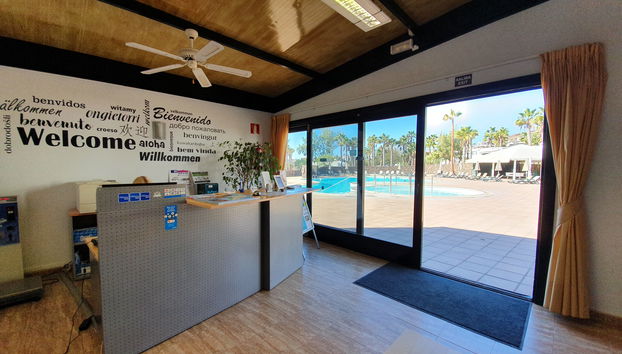 Palmeras Garden - Foto 3