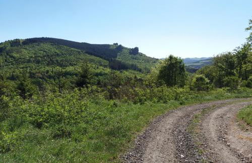 Ferienwohnung Panorama II - Foto 25