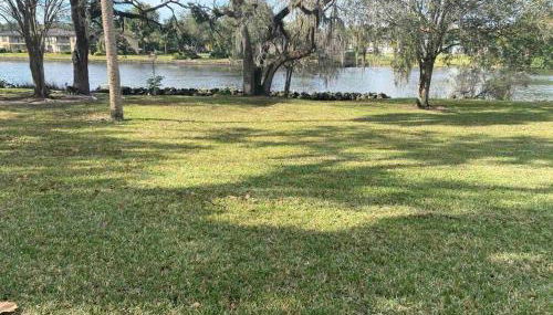 Chic pad in center of Seminole Heights-322 - Foto 5