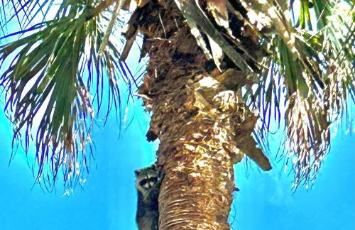 Natures Nest Waterfront - Photo 39