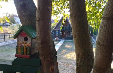 Traditional Guesthouse - Foto 9