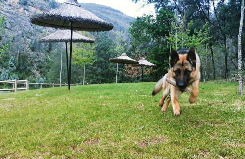 House with Shared Pool in Águeda, Mountain View - Foto 54