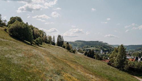 Ferienwohnung Wälderliebe - Foto 3