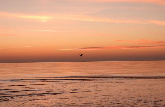 6 Person Holiday Home in Vig - Foto 44