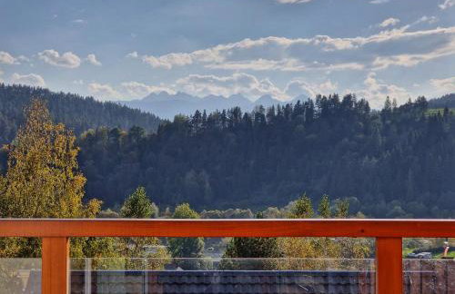 Nad Zalew dom z basenem letnim, jacuzzi i sauną, jezioro i trasa Velo Czorsztyn w pobliżu - Foto 58