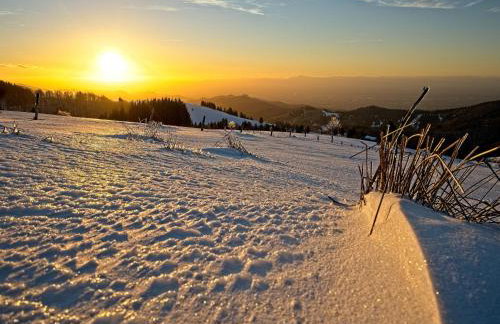 Fidelis-Bühl Muggenbrunn - Foto 3