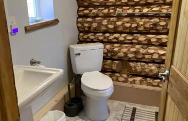 Historic Chulitna River Lodge - Foto 13