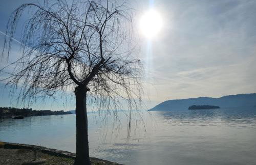 Bella Vista Lago Maggiore Einzigartiger Blick 365 Tagen - Foto 12