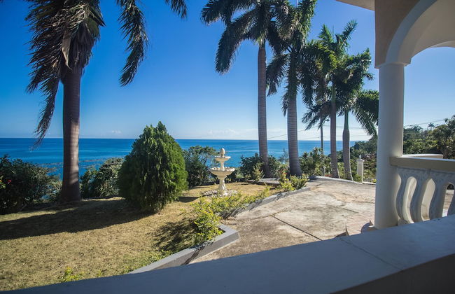 Tall Palms - Photo 1