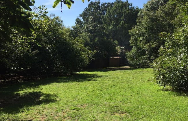 Cabañas Los Adobes - Foto 26