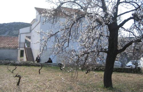 Apartments Marušić - Foto 27