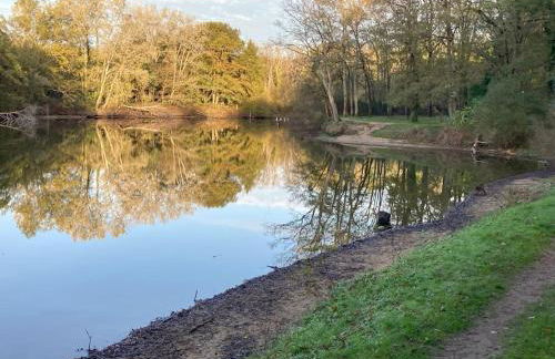 Maison belle capacité Avoine - Foto 29