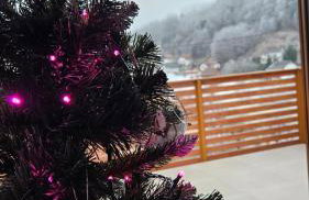 Sunčev breg - Foto 14