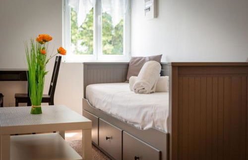 Rollin appartement 3 personnes avec Netflix au calme ! - Foto 16