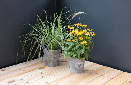 Apartments Vorhöfe - Photo 31