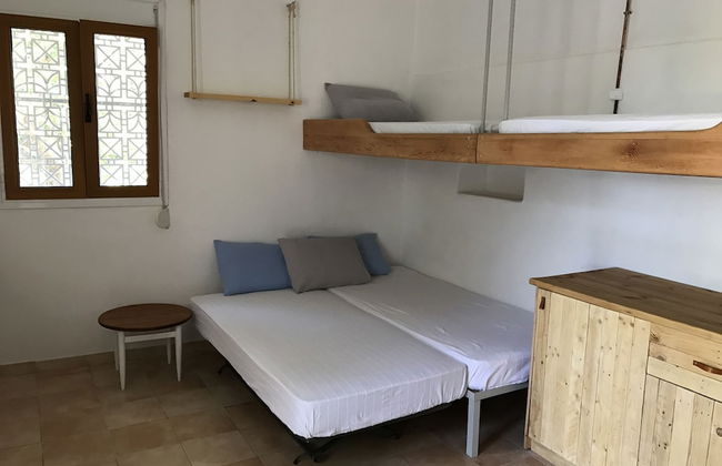 Farm House in Bio Orange Plantation - Foto 2