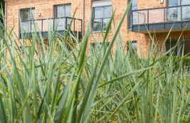 Wohnen am Südstrand - Ferienwohnung 1 4 - Foto 78