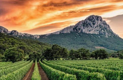 NOUVEAU - Appartement 100m2 avec Terrasse à 1 min de la Place de la Comédie - Foto 29