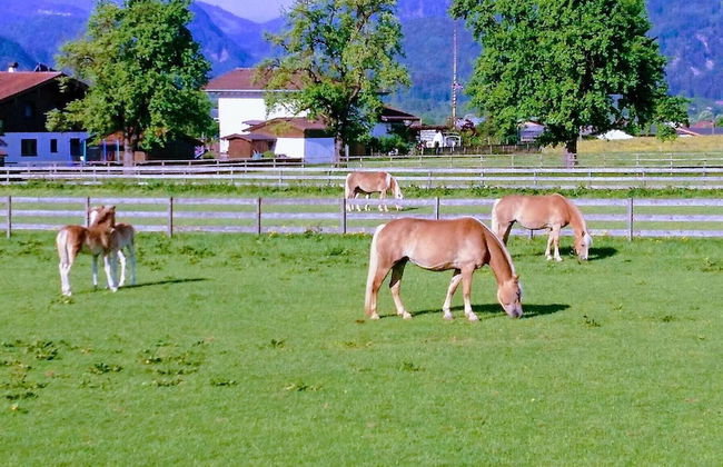 Kaiserlounge Harald Astner Ebbs - Foto 21