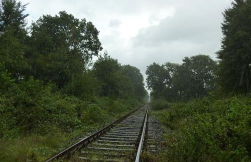 Ehemaliges Waldkurhaus Drangstedt - Foto 12